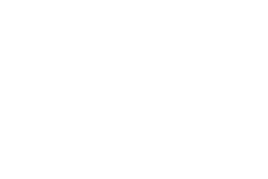 Logo Tänzers Fotobox